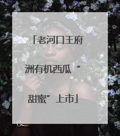 老河口王府洲有机西瓜“甜蜜”上市