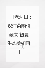 老河口：汉江荷韵引翠来 初夏生态美如画
