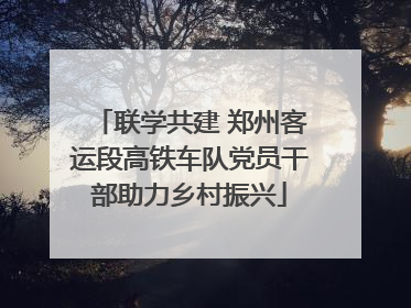 联学共建 郑州客运段高铁车队党员干部助力乡村振兴