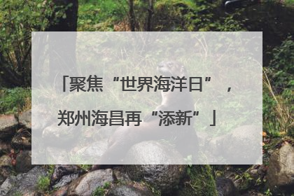聚焦“世界海洋日”，郑州海昌再“添新”
