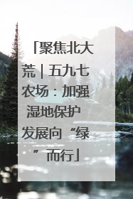 聚焦北大荒｜五九七农场：加强湿地保护 发展向“绿”而行