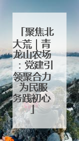 聚焦北大荒｜青龙山农场：党建引领聚合力 为民服务践初心
