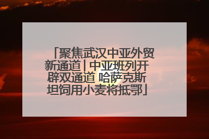 聚焦武汉中亚外贸新通道│中亚班列开辟双通道 哈萨克斯坦饲用小麦将抵鄂