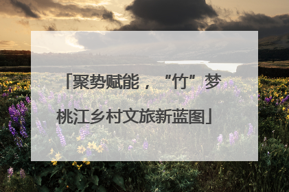 聚势赋能，“竹”梦桃江乡村文旅新蓝图