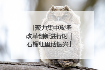 聚力集中攻坚·改革创新进行时｜石榴红里话振兴