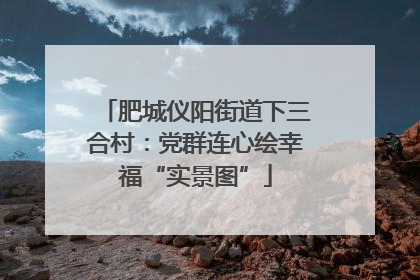 肥城仪阳街道下三合村：党群连心绘幸福“实景图”