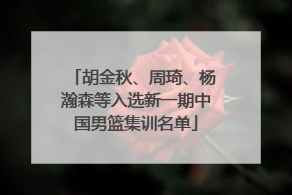 胡金秋、周琦、杨瀚森等入选新一期中国男篮集训名单