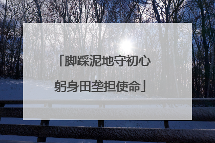 脚踩泥地守初心 躬身田垄担使命