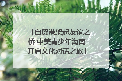 自贸港架起友谊之桥 中美青少年海南开启文化对话之旅