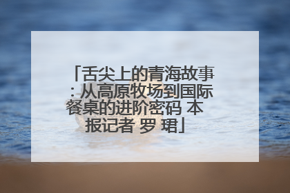 舌尖上的青海故事：从高原牧场到国际餐桌的进阶密码 本报记者 罗 珺