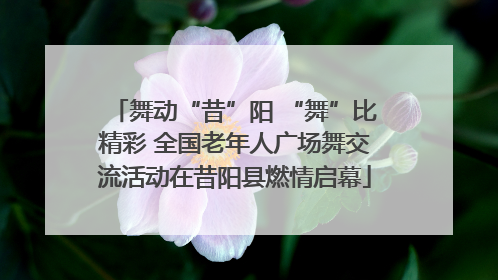 舞动“昔”阳 “舞”比精彩 全国老年人广场舞交流活动在昔阳县燃情启幕