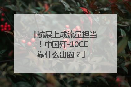 航展上成流量担当！中国歼-10CE靠什么出圈？
