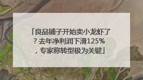 良品铺子开始卖小龙虾了？去年净利润下滑125%，专家称转型极为关键