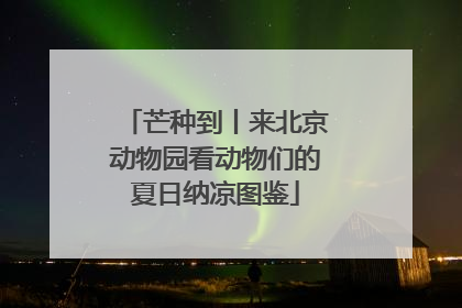芒种到丨来北京动物园看动物们的夏日纳凉图鉴