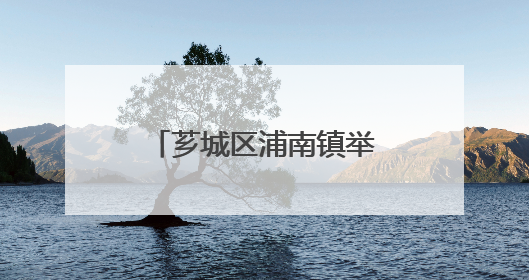 芗城区浦南镇举办端午系列活动