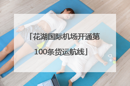 花湖国际机场开通第100条货运航线