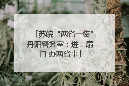 苏皖“两省一街”丹阳警务室：进一扇门 办两省事
