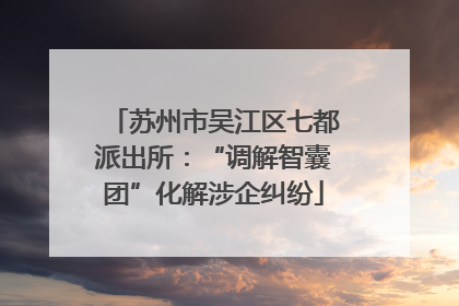苏州市吴江区七都派出所：“调解智囊团”化解涉企纠纷