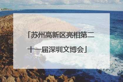 苏州高新区亮相第二十一届深圳文博会