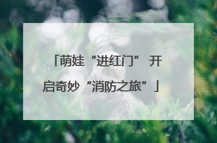 萌娃“进红门” 开启奇妙“消防之旅”