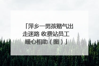 萍乡一男孩赌气出走迷路 收费站员工暖心相助（图）
