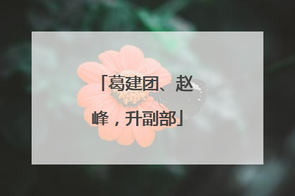 葛建团、赵峰，升副部