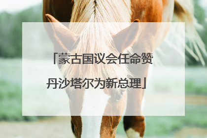 蒙古国议会任命赞丹沙塔尔为新总理