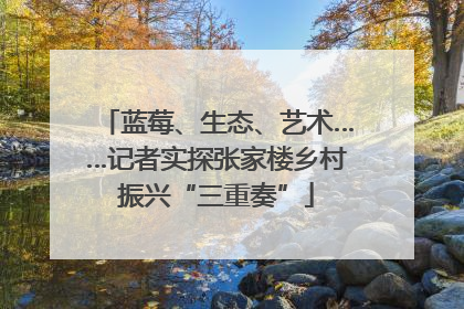 蓝莓、生态、艺术……记者实探张家楼乡村振兴“三重奏”