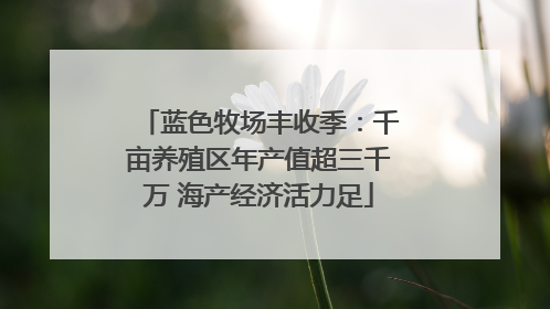 蓝色牧场丰收季：千亩养殖区年产值超三千万 海产经济活力足