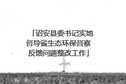 诏安县委书记实地督导省生态环保督察反馈问题整改工作