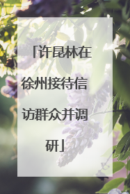 许昆林在徐州接待信访群众并调研