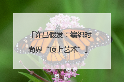 许昌假发：编织时尚界“顶上艺术”