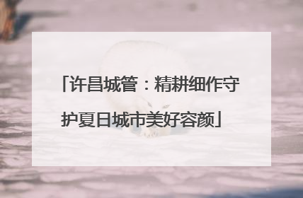 许昌城管：精耕细作守护夏日城市美好容颜