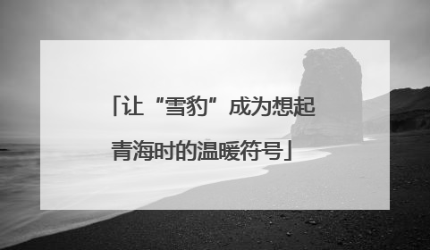 让“雪豹”成为想起青海时的温暖符号