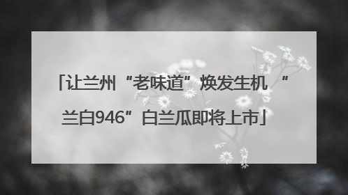 让兰州“老味道”焕发生机 “兰白946”白兰瓜即将上市
