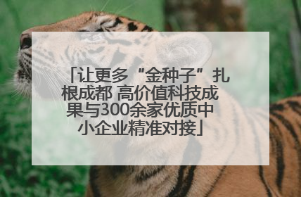 让更多“金种子”扎根成都 高价值科技成果与300余家优质中小企业精准对接