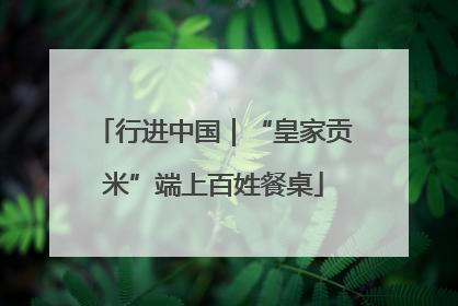 行进中国｜“皇家贡米”端上百姓餐桌
