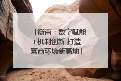 衡南：数字赋能+机制创新 打造营商环境新高地