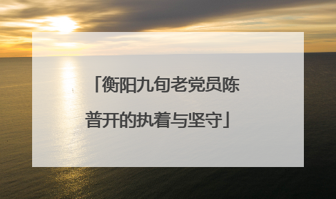 衡阳九旬老党员陈普开的执着与坚守