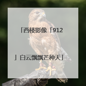 西楼影像「912」白云飘飘芒种天