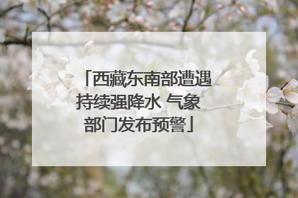 西藏东南部遭遇持续强降水 气象部门发布预警
