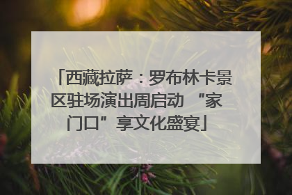 西藏拉萨：罗布林卡景区驻场演出周启动 “家门口”享文化盛宴