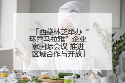 西藏林芝举办“环喜马拉雅”企业家国际会议 推进区域合作与开放