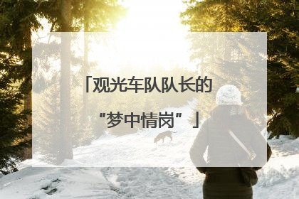 观光车队队长的“梦中情岗”