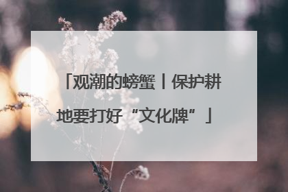 观潮的螃蟹丨保护耕地要打好“文化牌”