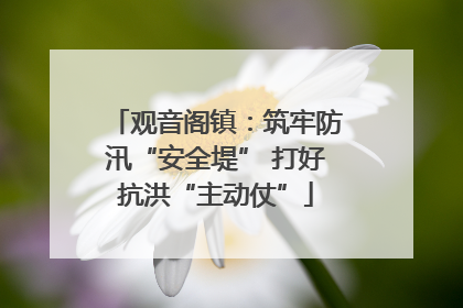 观音阁镇：筑牢防汛“安全堤” 打好抗洪“主动仗”