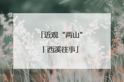 近观“两山”丨西溪往事