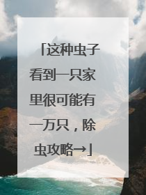 这种虫子看到一只家里很可能有一万只，除虫攻略→
