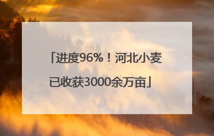 进度96%！河北小麦已收获3000余万亩
