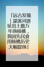 远古发现｜濛溪河遗址出土数万年前核桃，我国先民食用核桃历史大幅提前